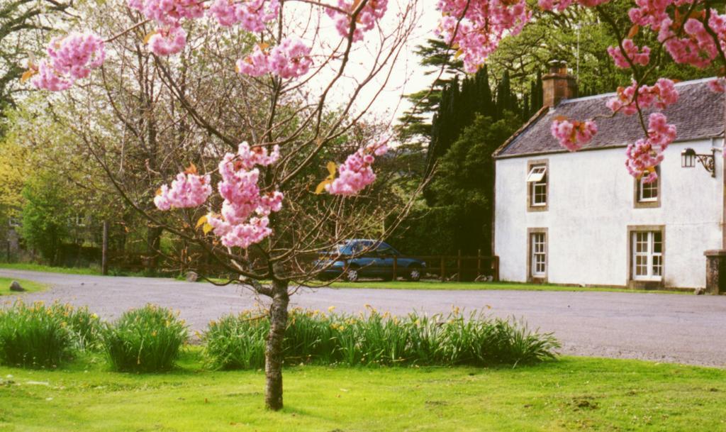 Inverawe Cottages Taynuilt Habitación foto